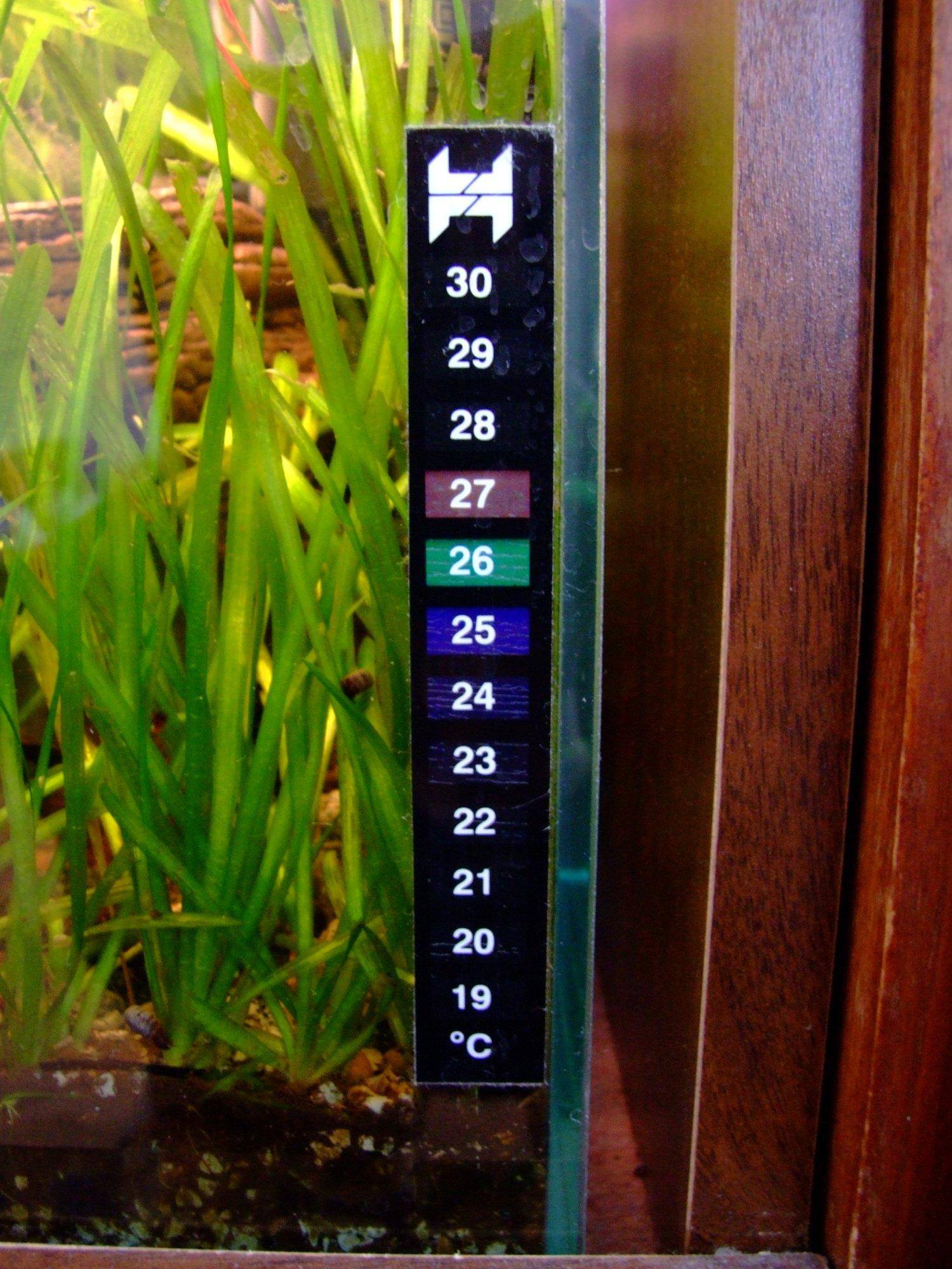 Thermomètre d'aquarium